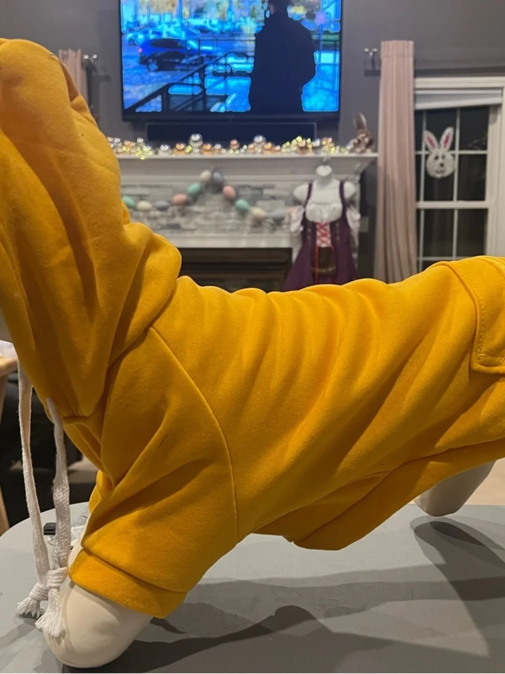 Yellow Pet Hoodie with Drawstring Hood – 2XL (NWT)